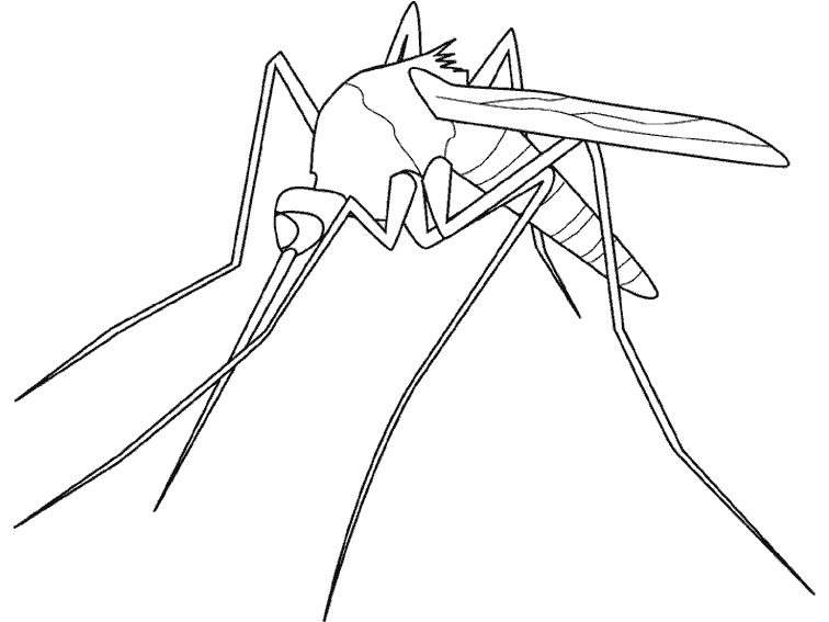 Página para colorir: Mosquito (animais) #11320 - Páginas para Colorir Imprimíveis Gratuitamente