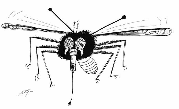 Página para colorir: Mosquito (animais) #11341 - Páginas para Colorir Imprimíveis Gratuitamente