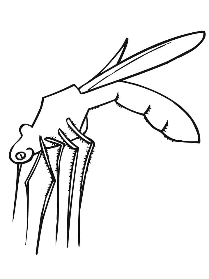 Página para colorir: Mosquito (Animais) #207169 - Páginas para Colorir Imprimíveis Gratuitamente