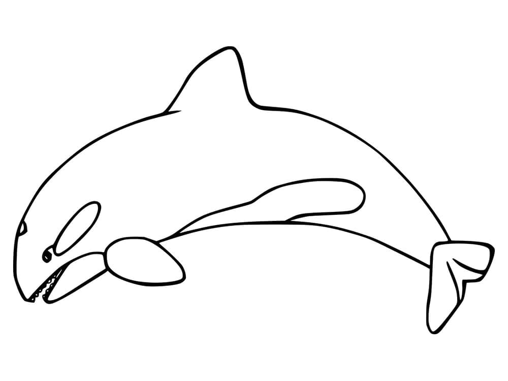Desenho gratuito Orca #213451 da colecao Animais para imprimir