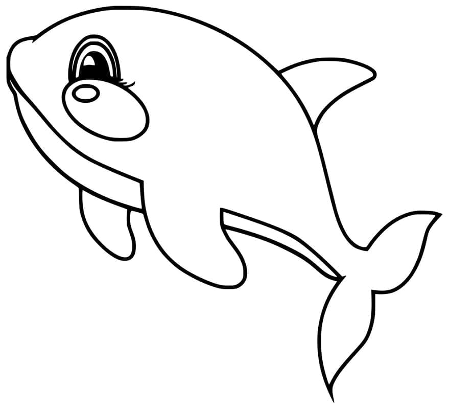 Desenho gratuito Orca #213456 da colecao Animais para imprimir