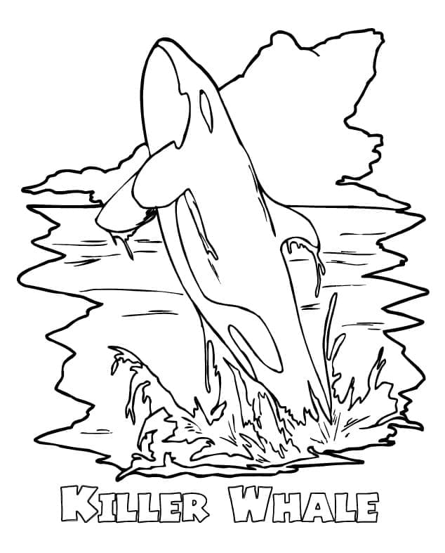 Desenho gratuito Orca #213457 da colecao Animais para imprimir