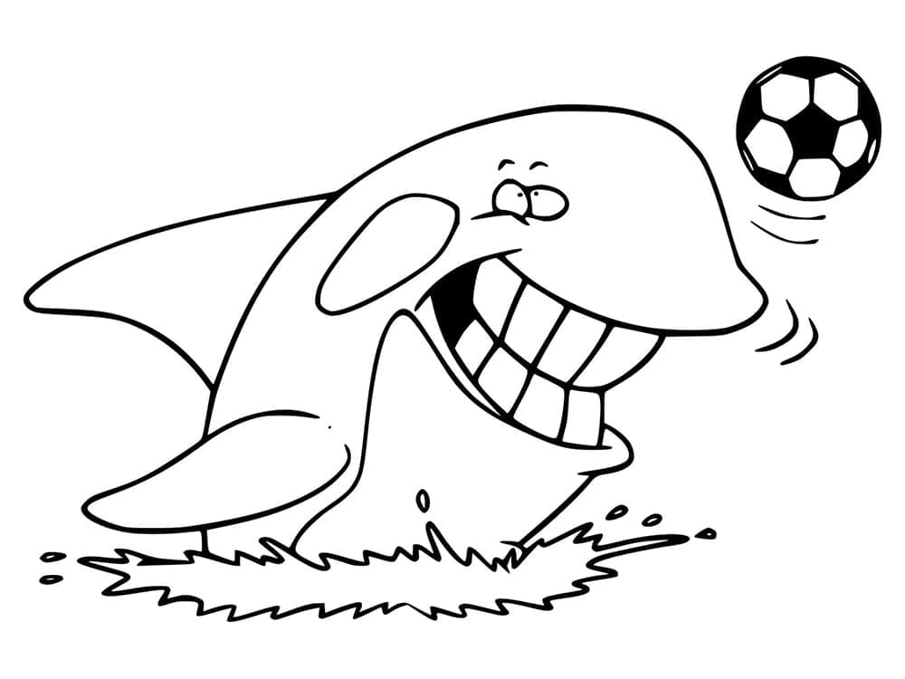 Desenho gratuito Orca #213465 da colecao Animais para imprimir