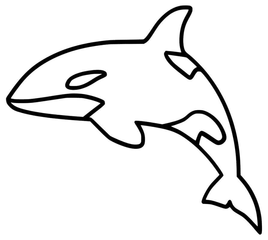 Desenho gratuito Orca #213467 da colecao Animais para imprimir