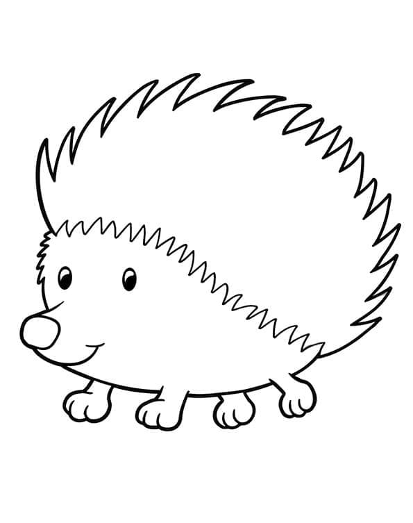 Desenho gratuito Ouriço #190579 da colecao Animais para imprimir