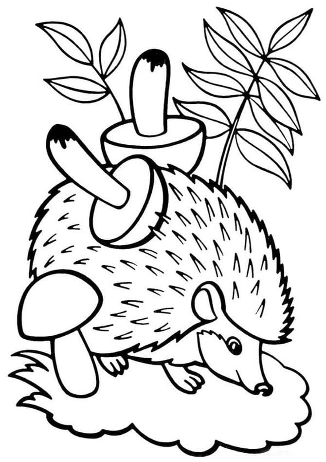 Desenho gratuito Ouriço #190590 da colecao Animais para imprimir Desenho gratuito Ouriço #190590 da colecao Animais para imprimir
