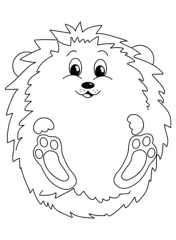 Desenho gratuito Ouriço #190597 da colecao Animais para imprimir