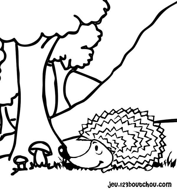Página para colorir: Ouriço (animais) #8225 - Páginas para Colorir Imprimíveis Gratuitamente