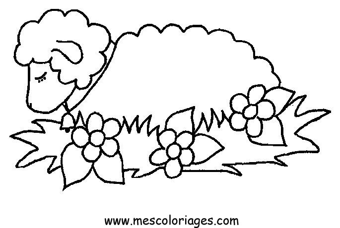Página para colorir: Ovelha (animais) #11391 - Páginas para Colorir Imprimíveis Gratuitamente