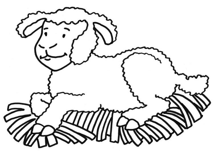 Página para colorir: Ovelha (animais) #11405 - Páginas para Colorir Imprimíveis Gratuitamente