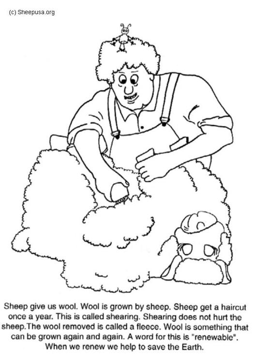 Página para colorir: Ovelha (animais) #11411 - Páginas para Colorir Imprimíveis Gratuitamente