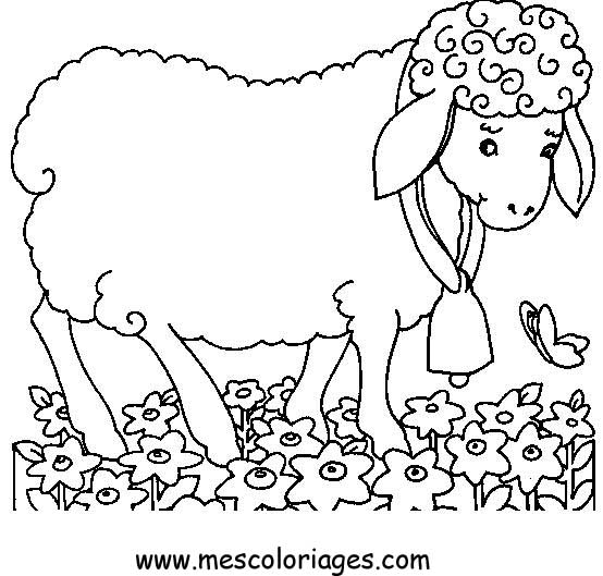 Página para colorir: Ovelha (animais) #11429 - Páginas para Colorir Imprimíveis Gratuitamente