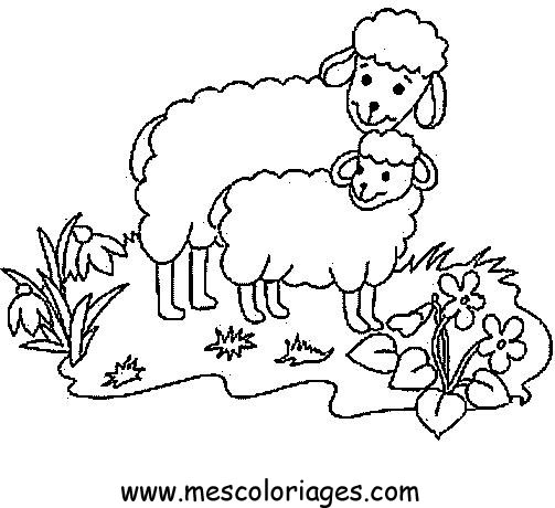 Página para colorir: Ovelha (animais) #11436 - Páginas para Colorir Imprimíveis Gratuitamente
