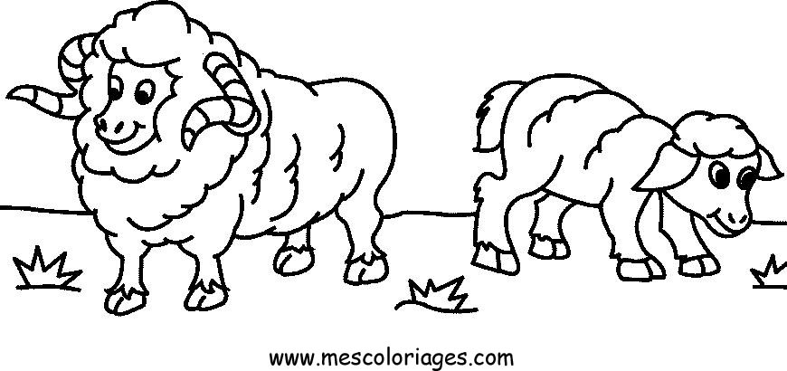Página para colorir: Ovelha (animais) #11456 - Páginas para Colorir Imprimíveis Gratuitamente