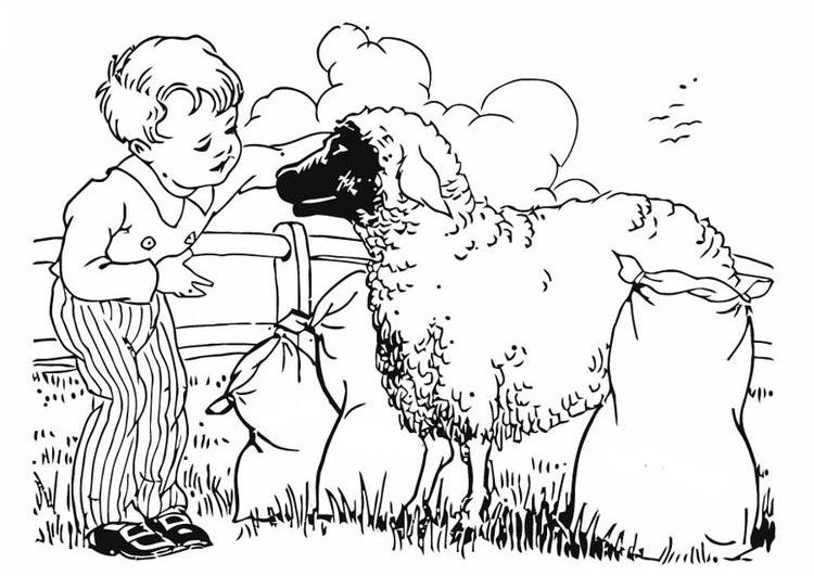 Página para colorir: Ovelha (animais) #11497 - Páginas para Colorir Imprimíveis Gratuitamente