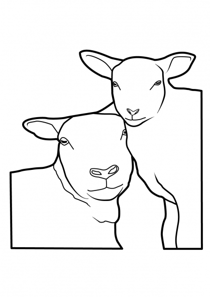 Página para colorir: Ovelha (animais) #11514 - Páginas para Colorir Imprimíveis Gratuitamente