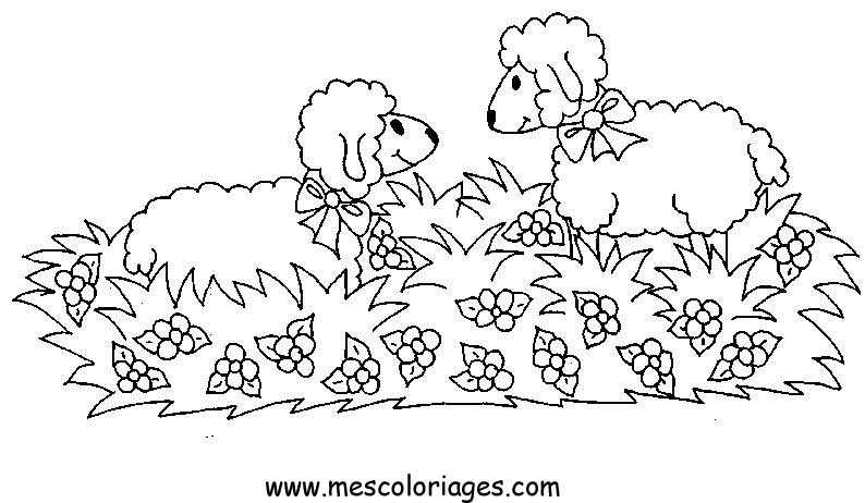 Página para colorir: Ovelha (animais) #11516 - Páginas para Colorir Imprimíveis Gratuitamente