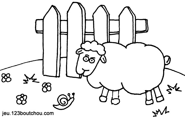 Página para colorir: Ovelha (animais) #11539 - Páginas para Colorir Imprimíveis Gratuitamente