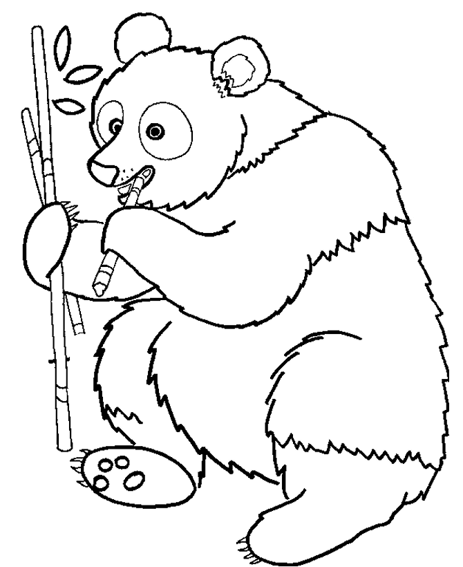 Página para colorir: Panda (animais) #12463 - Páginas para Colorir Imprimíveis Gratuitamente