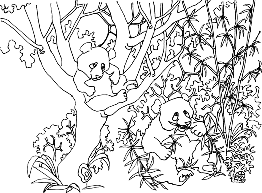 Página para colorir: Panda (animais) #12603 - Páginas para Colorir Imprimíveis Gratuitamente
