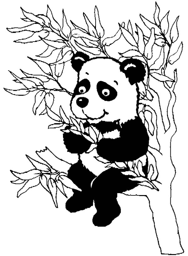 Página para colorir: Panda (animais) #12610 - Páginas para Colorir Imprimíveis Gratuitamente