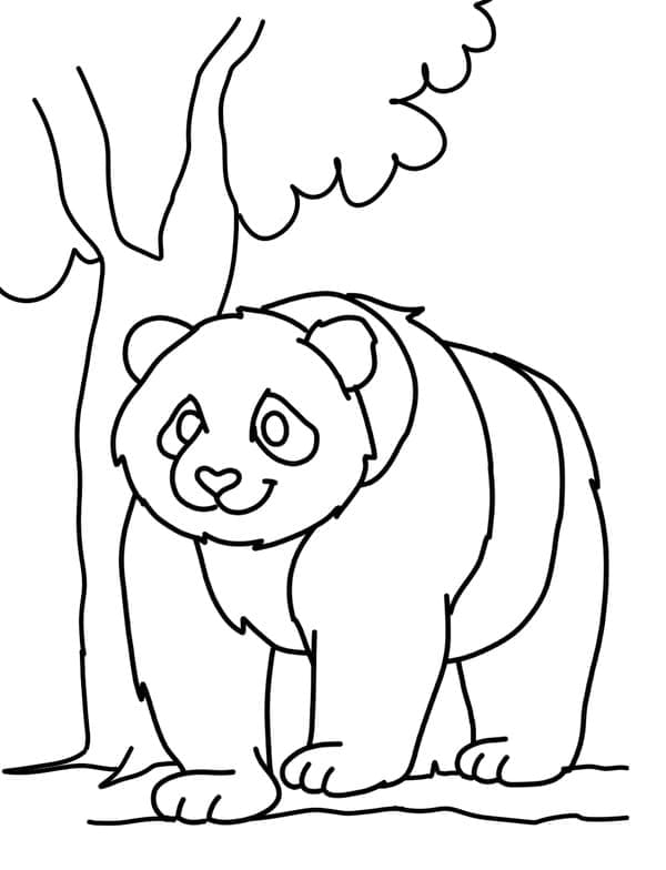 Desenho gratuito Panda #175210 da colecao Animais para imprimir