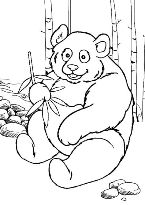 Desenho gratuito Panda #175228 da colecao Animais para imprimir