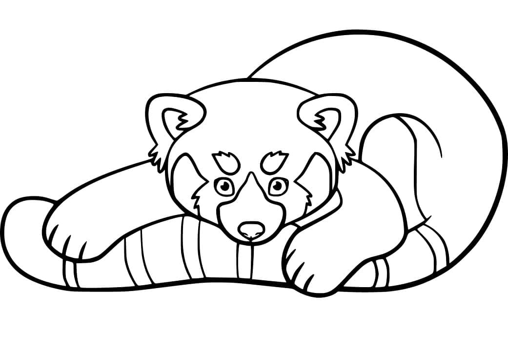 Desenho gratuito Panda Vermelho #212045 da colecao Animais para imprimir