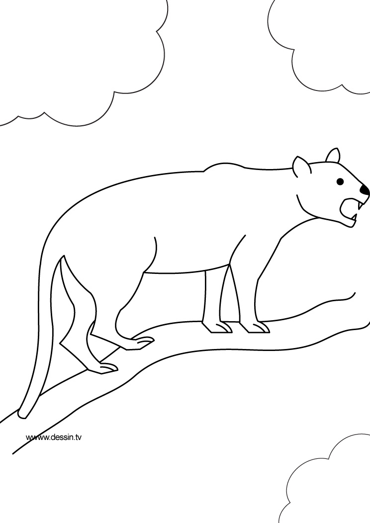 Página para colorir: Pantera (animais) #15525 - Páginas para Colorir Imprimíveis Gratuitamente