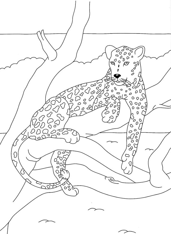 Página para colorir: Pantera (animais) #15557 - Páginas para Colorir Imprimíveis Gratuitamente