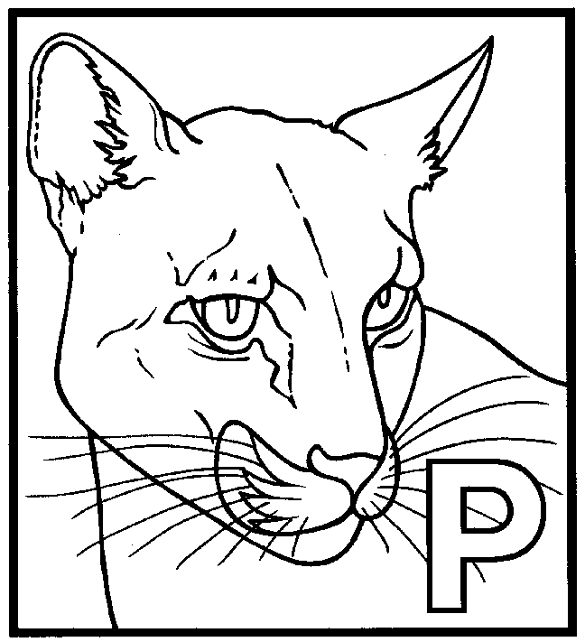 Página para colorir: Pantera (animais) #15594 - Páginas para Colorir Imprimíveis Gratuitamente