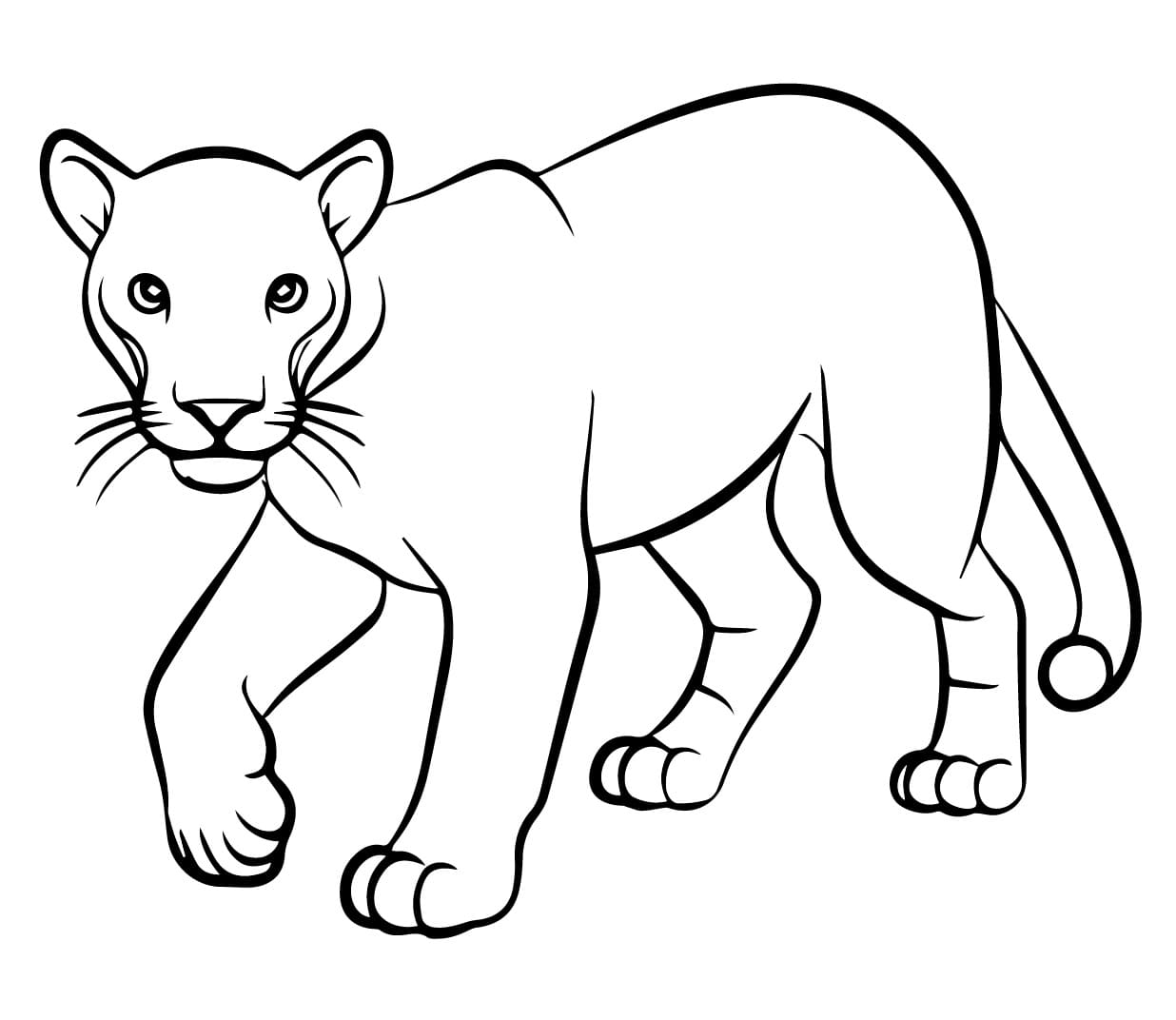 Desenho gratuito Pantera #214428 da colecao Animais para imprimir