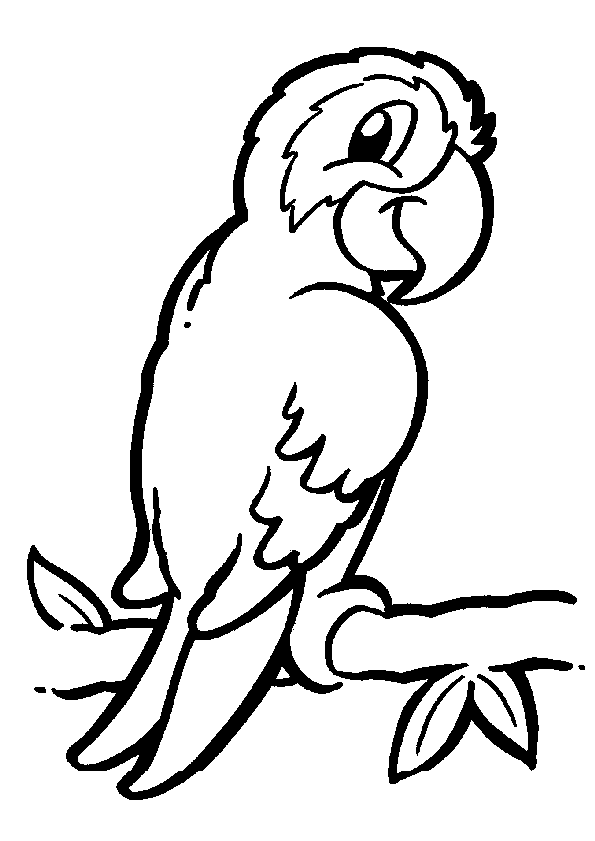 Página para colorir: Papagaio (animais) #16061 - Páginas para Colorir Imprimíveis Gratuitamente