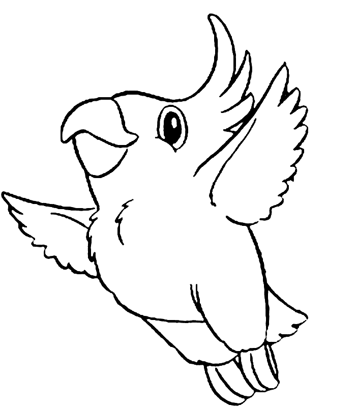 Página para colorir: Papagaio (animais) #16063 - Páginas para Colorir Imprimíveis Gratuitamente