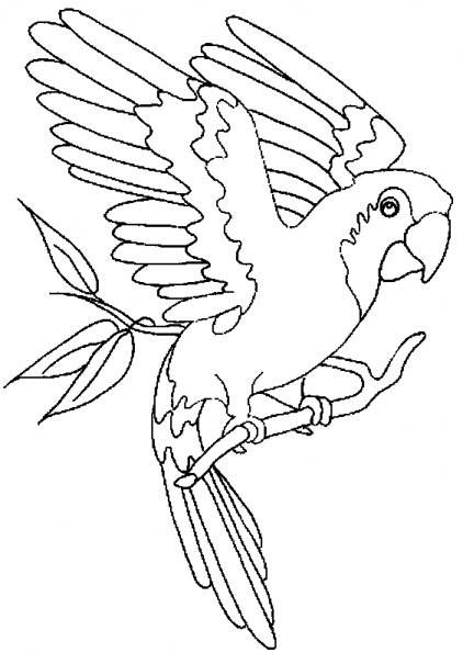 Página para colorir: Papagaio (animais) #16072 - Páginas para Colorir Imprimíveis Gratuitamente