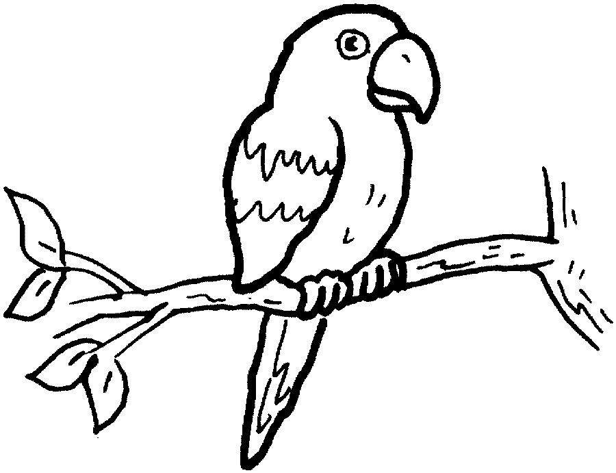 Página para colorir: Papagaio (animais) #16074 - Páginas para Colorir Imprimíveis Gratuitamente