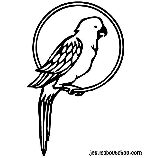 Página para colorir: Papagaio (animais) #16080 - Páginas para Colorir Imprimíveis Gratuitamente