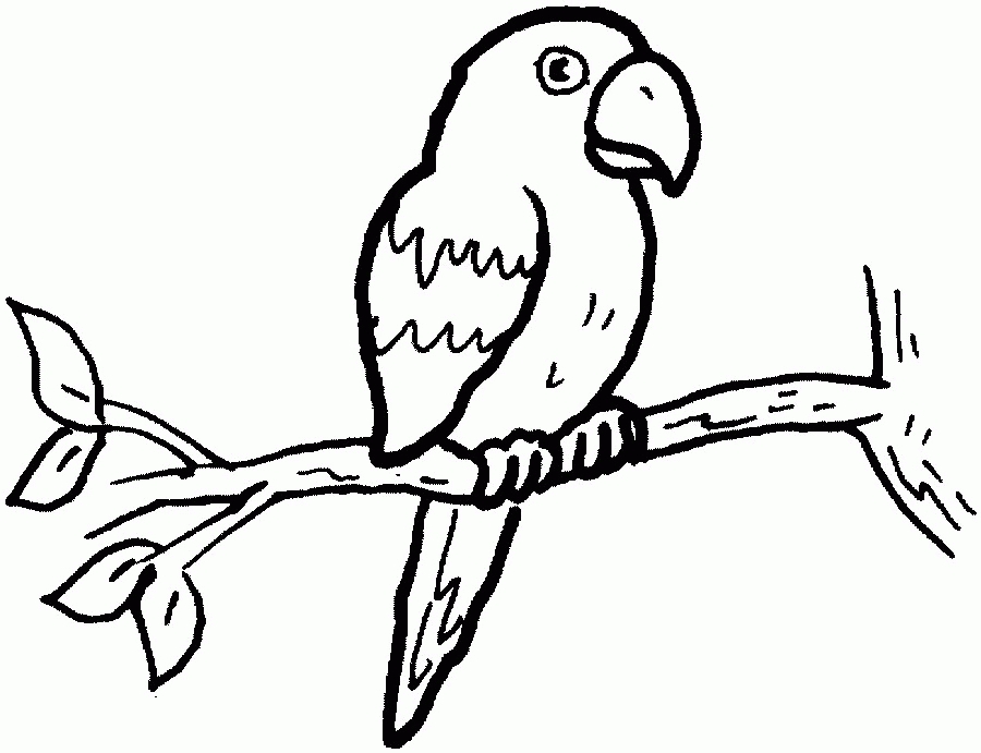 Página para colorir: Papagaio (animais) #16099 - Páginas para Colorir Imprimíveis Gratuitamente
