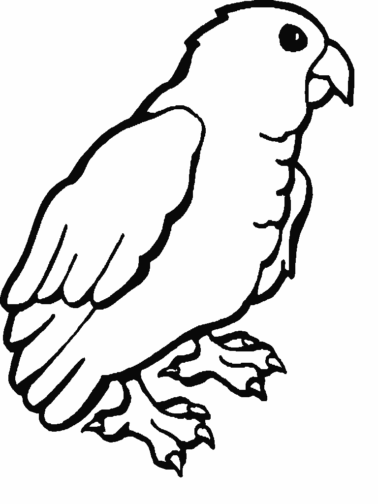 Página para colorir: Papagaio (animais) #16109 - Páginas para Colorir Imprimíveis Gratuitamente