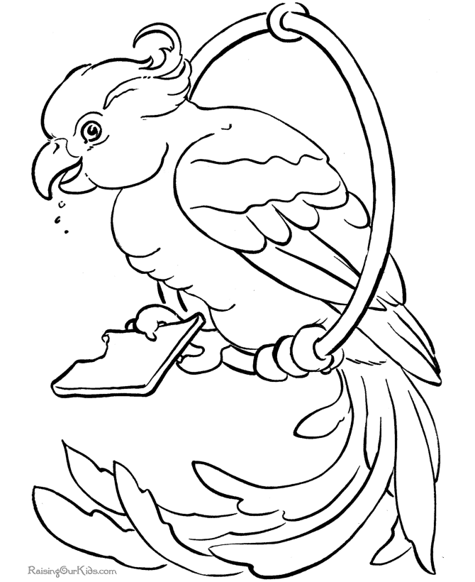 Página para colorir: Papagaio (animais) #16141 - Páginas para Colorir Imprimíveis Gratuitamente