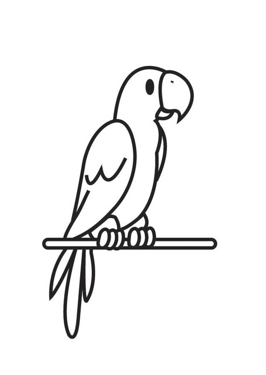 Página para colorir: Papagaio (animais) #16148 - Páginas para Colorir Imprimíveis Gratuitamente