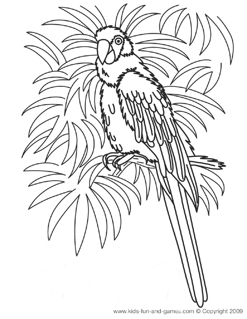 Página para colorir: Papagaio (animais) #16150 - Páginas para Colorir Imprimíveis Gratuitamente