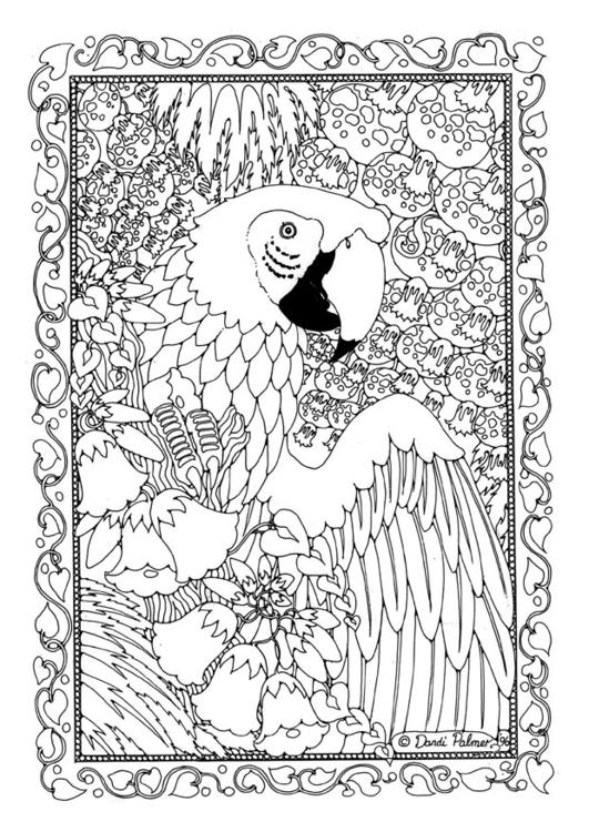 Página para colorir: Papagaio (animais) #16190 - Páginas para Colorir Imprimíveis Gratuitamente