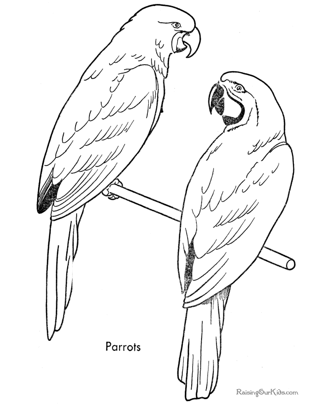 Página para colorir: Papagaio (animais) #16194 - Páginas para Colorir Imprimíveis Gratuitamente