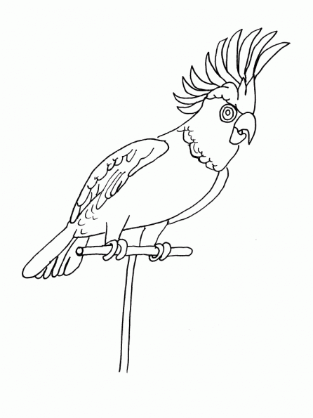 Página para colorir: Papagaio (animais) #16233 - Páginas para Colorir Imprimíveis Gratuitamente