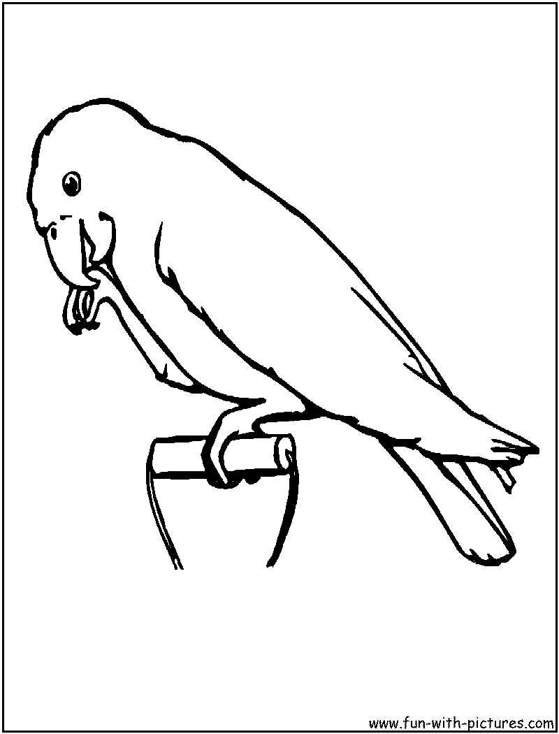 Página para colorir: Papagaio (animais) #16241 - Páginas para Colorir Imprimíveis Gratuitamente