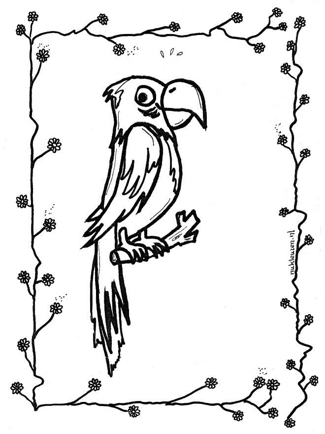 Página para colorir: Papagaio (animais) #16245 - Páginas para Colorir Imprimíveis Gratuitamente