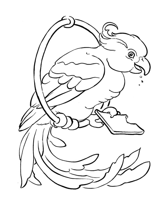 Página para colorir: Papagaio (animais) #16252 - Páginas para Colorir Imprimíveis Gratuitamente