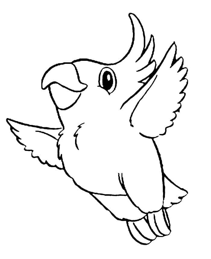 Desenho gratuito Papagaio #179088 da colecao Animais para imprimir
