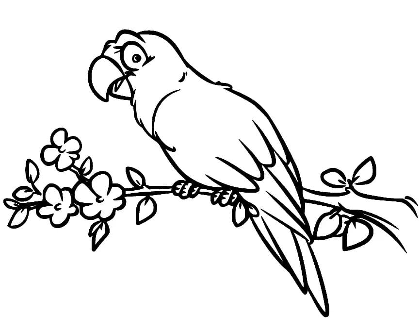 Desenho de Papagaio #179089 para colorir, da coleção Animais, imprimível grátis